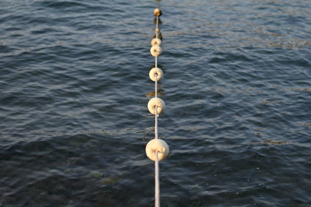 Photo of pontoons in the sea in a summer evening.