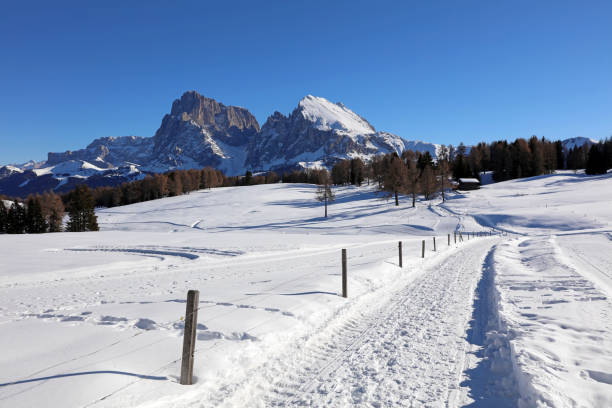 istock Seiser Alm with Langkofel Group. South Tyrol. Italy 1367833490