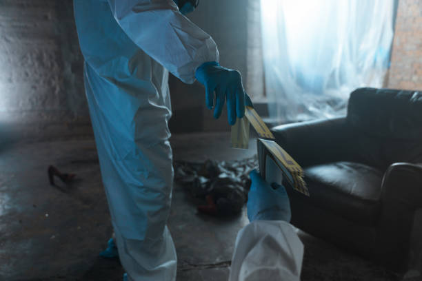 istock Forensic workers at the crime scene in an abandoned room, exchanging numbers with each other 1367834876