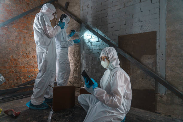 istock Tree criminologists in protective suits at work at the crime scene 1367835213