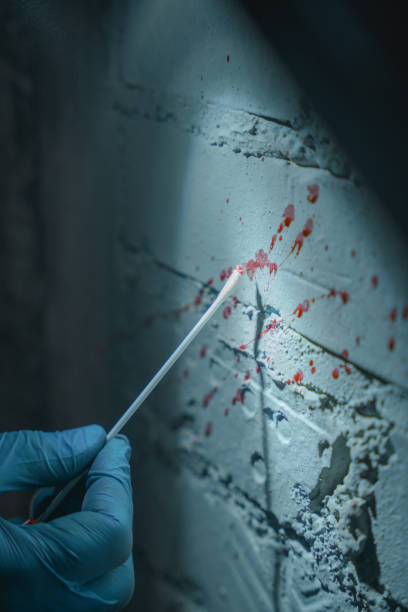 Close-up of taking a blood sample as physical evidence from the wall Close-up of taking a blood sample as physical evidence from the wall at the crime scene illuminated by a flashlight evidence photos stock pictures, royalty-free photos & images