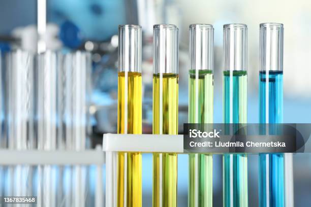 Test Tubes With Liquid Samples In Rack Closeup Laboratory Analysis Stock Photo - Download Image Now