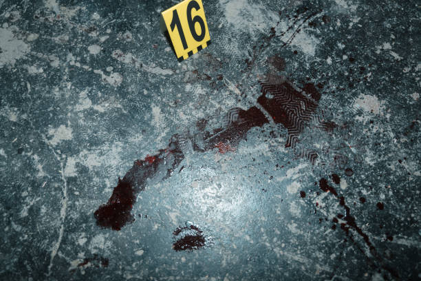 Blood spots with shoe prints one them on an old dark floor at the crime scene stock photo