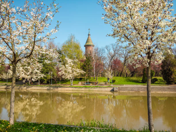 istock flowering trees on a riverbank on a sunny spring day 1367836676