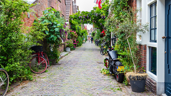 Alkmaar, The Netherlands - JUly 23, 2021: Urban greening with lots of plants and flowers in street in  Alkmaar in North-Holland in The Netehrlands