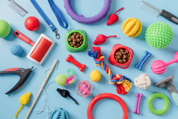 istock Pet care concept, various pet accessories on bluebackground, flat lay 1367838368