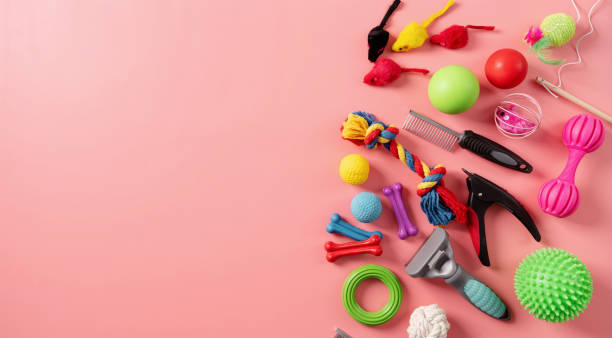 istock Pet care concept, various pet accessories on pink background with copy space, flat lay 1367838434