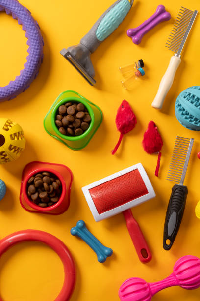 istock Pet care concept, various pet accessories on yellow background , flat lay 1367838567