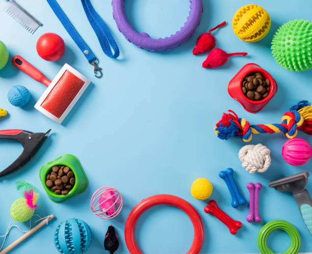 istock Pet care concept, various pet accessories on blue background, flat lay 1367839325