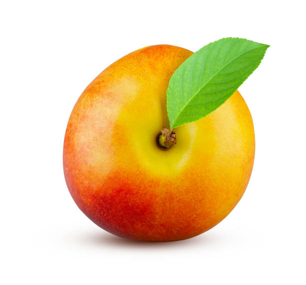 istock Excellent ripe nectarine with green leaf isolated on white background 1367839704