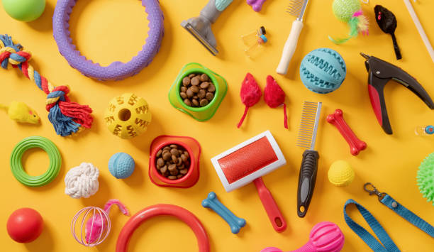 istock Pet care concept, various pet accessories on yellow background , flat lay 1367839800
