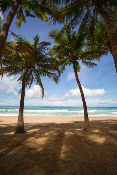 istock Beach sea sand blue sky background 1367840315
