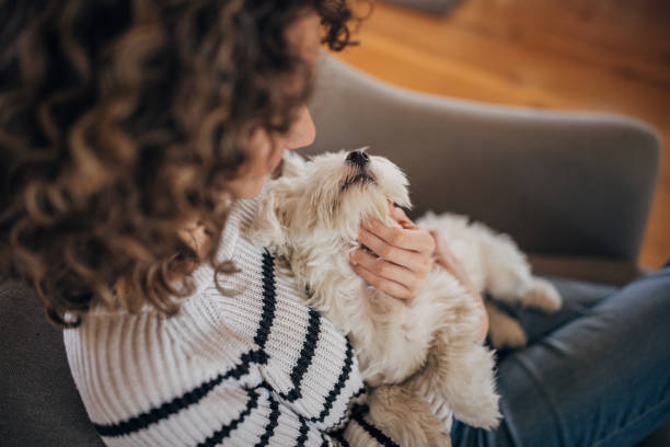 istock Young woman with her puppy 1367841253