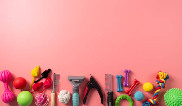 istock Pet care concept, various pet accessories on pink background with copy space, flat lay 1367841296