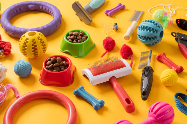 Pet care concept, various pet accessories on yellow background