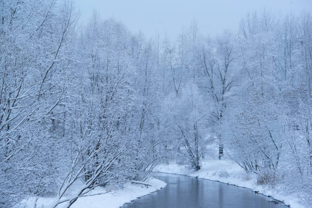 istock River in a snowy forest after a snowfall 1367841646
