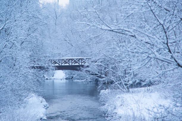istock River in a snowy forest after a snowfall 1367841653