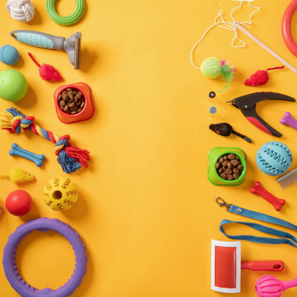 istock Pet care concept, various pet accessories on yellow background, flat lay 1367841854