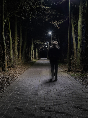 Person in motion walks along a uncomfortable way in a cold night.