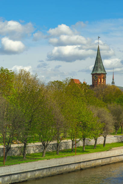 istock Cathedral of Kaliningrad 1367847103