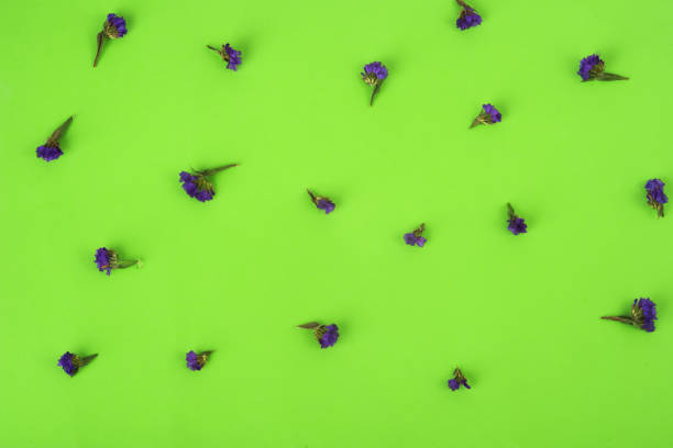 istock Flowers composition. Pattern made of dried blue flowers on the green background 1367849497
