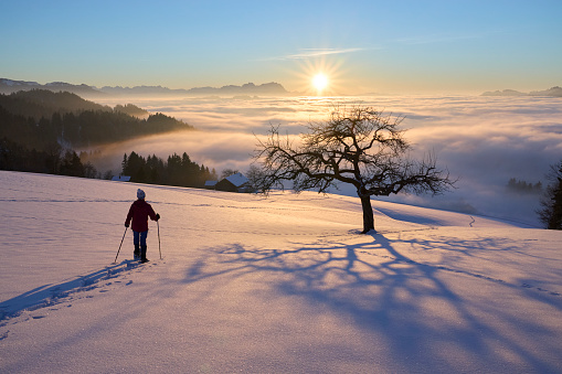 woman, snowshoeing at sunset in the Allgaeu Alps with spectacular view on Mount Saentis, Switzerland