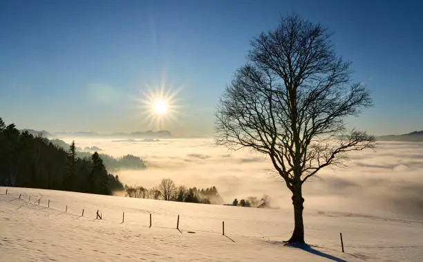 snowy sunset landscape in the Allgaeu Alps, Bavaria, Germany with spectacular view on Mount Saentis, Switzerland