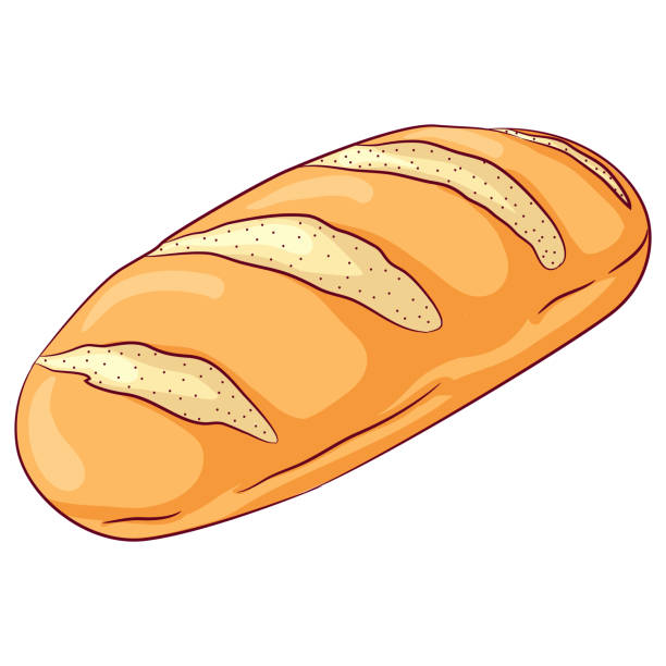 밀 긴 덩어리 - bread white background isolated loaf of bread stock illustrations