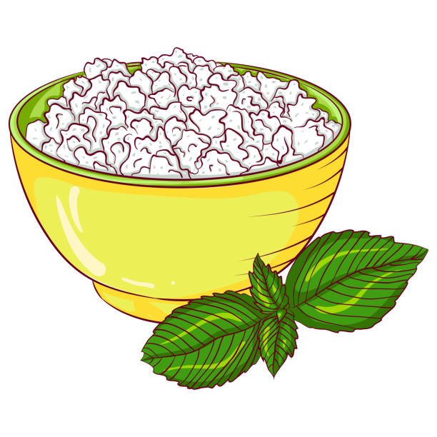 Cottage cheese in a bowl Vector cartoon illustration cottage cheese in a bowl isolated on white. Dairy product for breakfast. Organic healthy food. Food Icon. Design for cookbook, restaurant business. cottage cheese stock illustrations