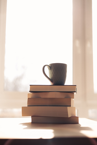 a beautiful cup stands on a pile of books. the light is bright and makes you want to read. the pile stands on a wooden table. the daylight falls from behind through the large window