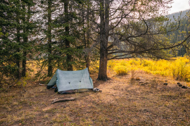 Camping in the Eagles Nest Wilderness, Colorado