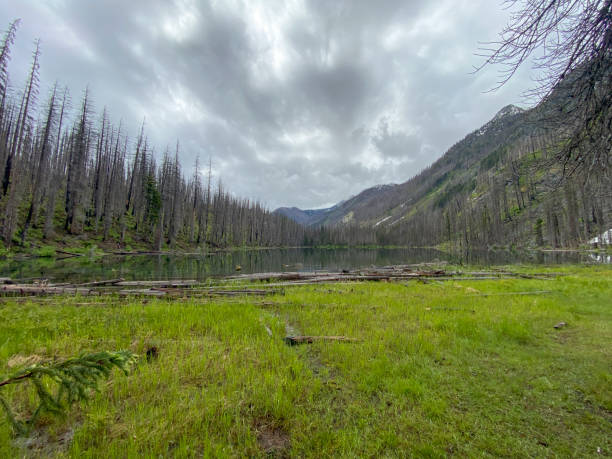 istock Dramatic clouds over an alpine lake ravaged by wildfire 1367856145