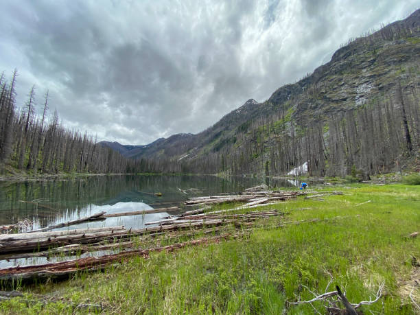 istock Gathering water from an alpine lake surrounded by dead burned trees 1367856160
