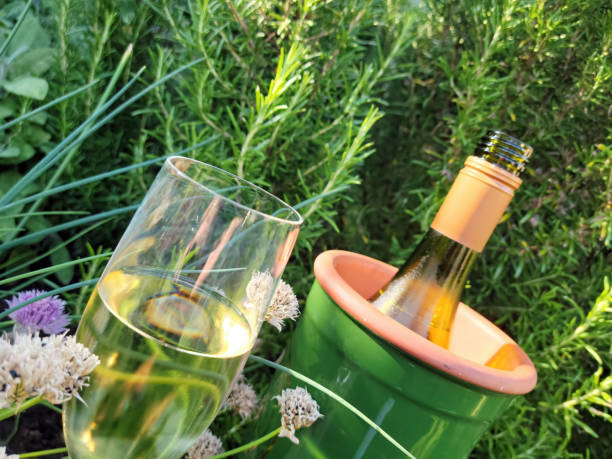 butelka białego wina w lodówce w angielskim ogrodzie - chive blossom zdjęcia i obrazy z banku zdjęć
