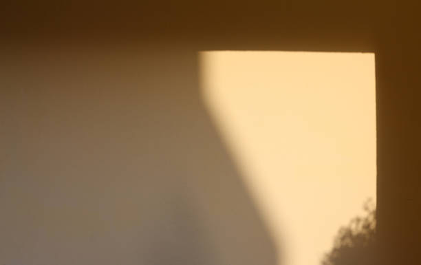 istock Warm summer shadows on the wall. Painted plaster wall texture with abstract and floral shadows and light. 1367857217