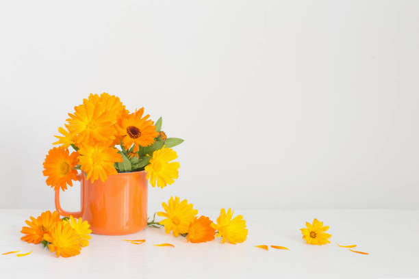 istock bouquet with orange marigolds   in cup    on white  background 1367859574