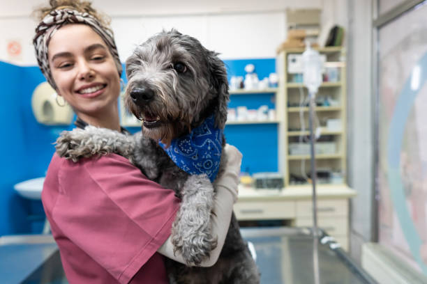 istock Female veterinary worker with mix-breed dog 1367861133