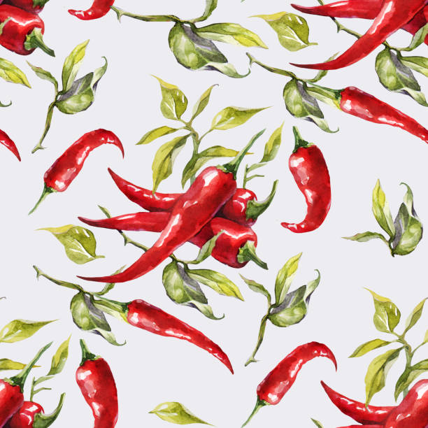 Seamless watercolor red hot chili peppers background pattern. Ha Seamless watercolor red hot chili peppers background pattern. Hand drawing. chili pepper pattern stock illustrations