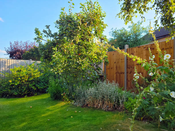 istock English back garden 1367867423