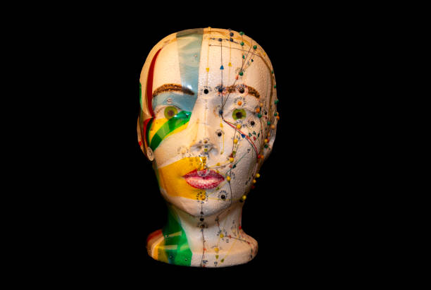 istock Acupuncture study of the front of the head 1367870288