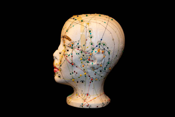 istock Acupuncture study of the left of the head 1367870289