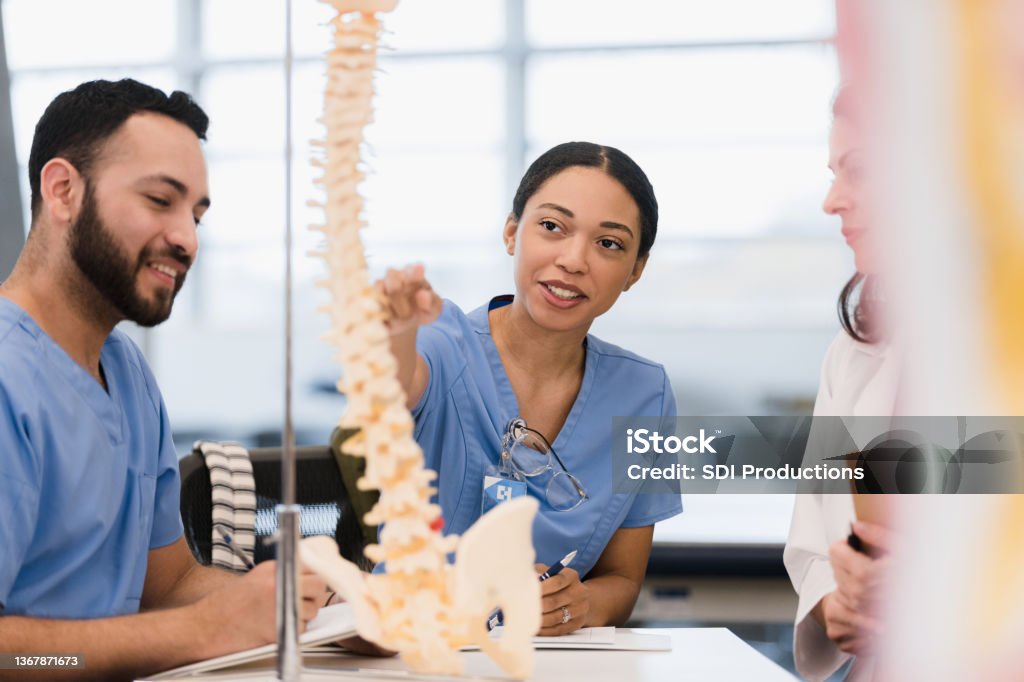 Female medical student asks teacher question while male friend listens The young adult female medical student asks the mid adult female teacher a question about the human spine as her young adult male friend listens. Medical Student Stock Photo