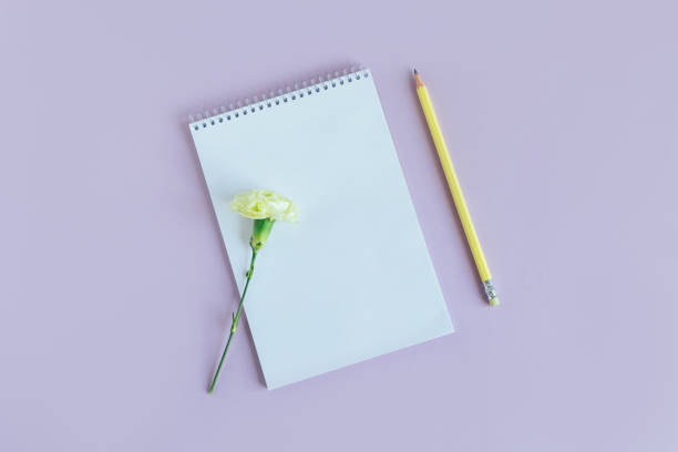 istock Notebook with blank page and Carnation flower on a violet pastel background. 1367877664
