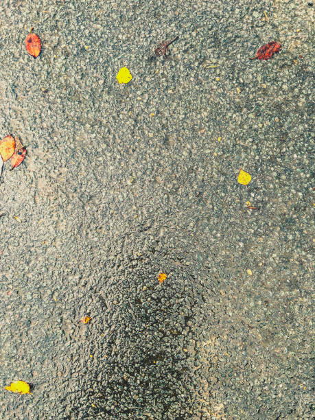istock Wet concrete with leaves as texture or background. 1367878586