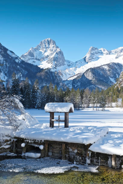 winter in austria's mountains - wald stok fotoğraflar ve resimler