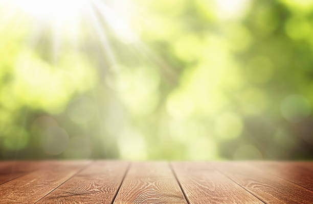 istock wooden table and blurry forest background 1367881841