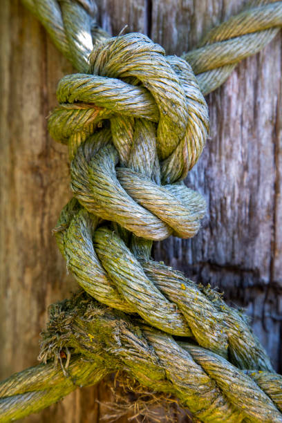 Old weathered rope knots on an old wooden pole