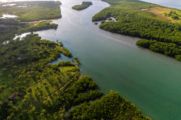 Aerial view of Nova Cruz in Igarassu, Pernambuco, Brazil stock photo