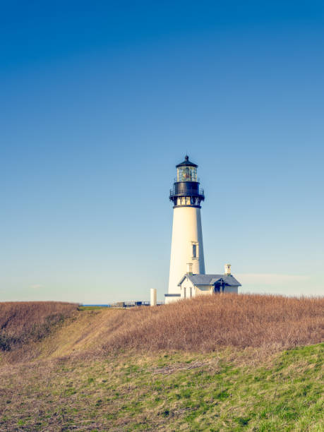 istock Yaquina Head Lighthouse, Oregon USA against a bright blue sky. 1367887532