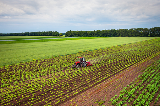 Farmer in tractor preparing land with cultivator in spring
